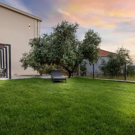 Ocrux * تروغير